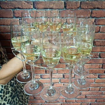 DS94-Dressed-Insitu-EA