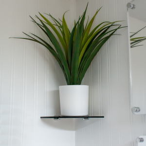 DS9B-Wall-EA_20220715151714