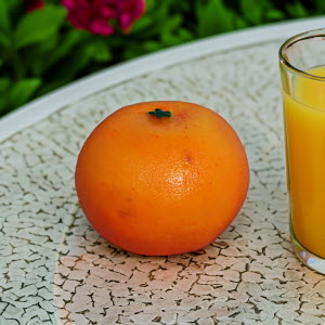 FF3-Orange-Insitu-EA