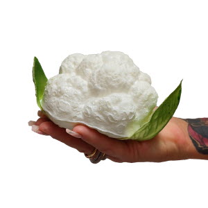 FF8-Cauliflower-Hand-EA