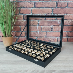 G223-Dressed-Insitu-EA