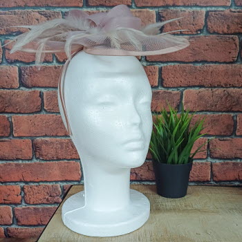 POLYF-Dressed-Insitu-EA